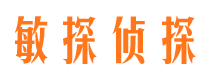 崇阳市调查公司